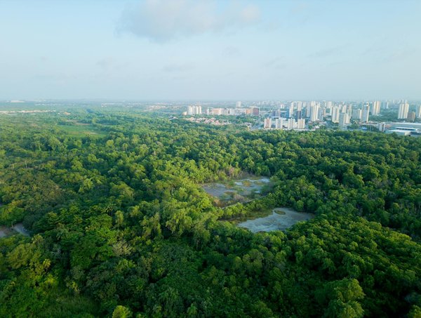 Boostez l'efficacité de vos ateliers interactifs en ligne !