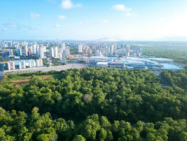 Découvrez le saint du jour : une inspiration pour votre foi