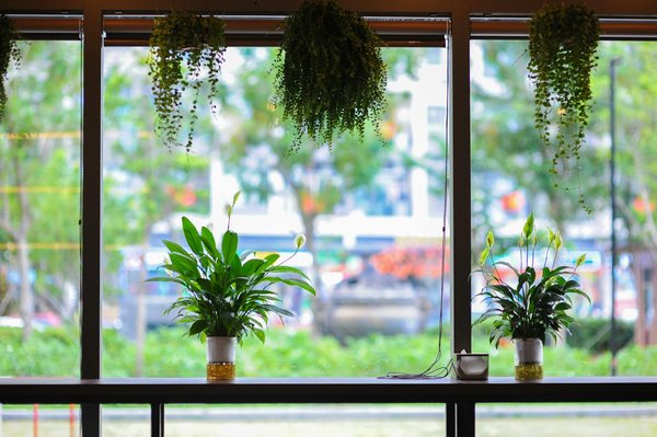 Votre guide essentiel pour le brevet 2025 : dates et outils