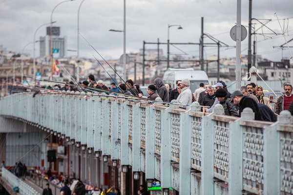 Votre carte grise à bordeaux : démarches simplifiées en ligne