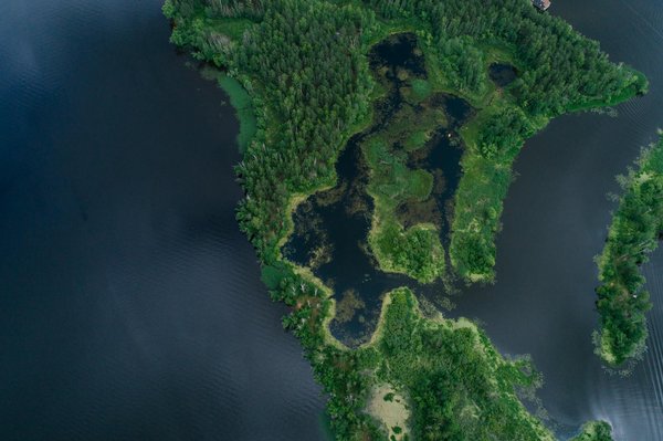 Sécuriser votre événement : les clés d'une protection efficace